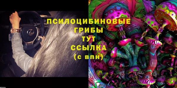 крисы Алексеевка