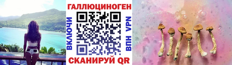 мега   Покров  Псилоцибиновые грибы ЛСД 