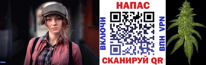 Каннабис семена  Покров 